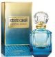 RC PARADISO AZZURRO 100ML