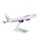 CAL MODEL PLANE 737-800
